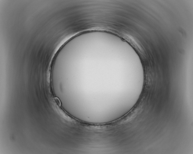 X0000113010900200909101815