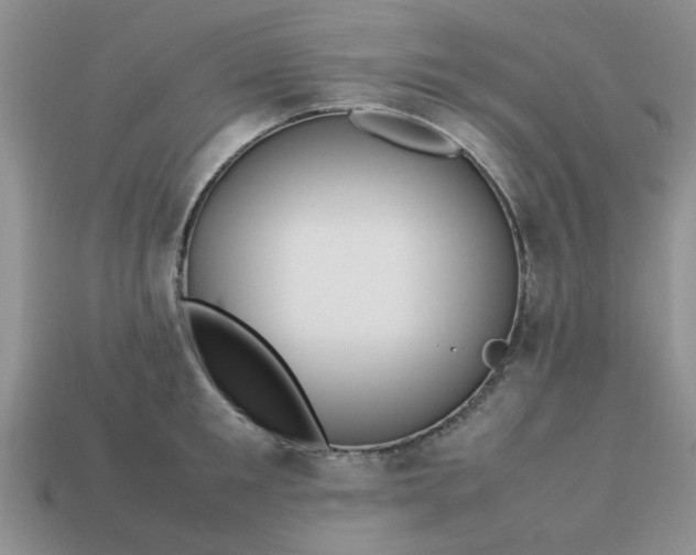 X0000113010901200909101815