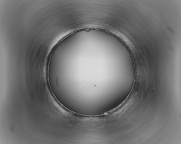 X0000113010902200909101815