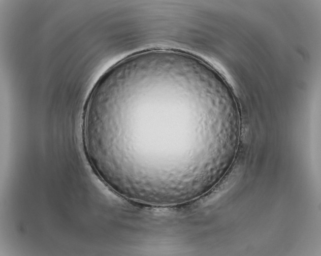 X0000113010903200909101815