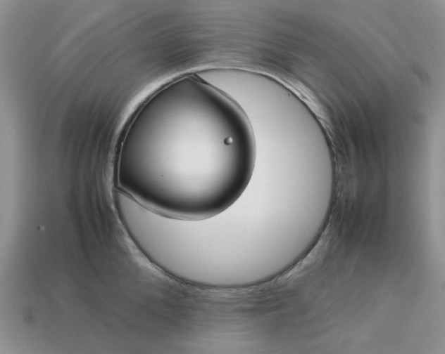 X0000113010904200909101815