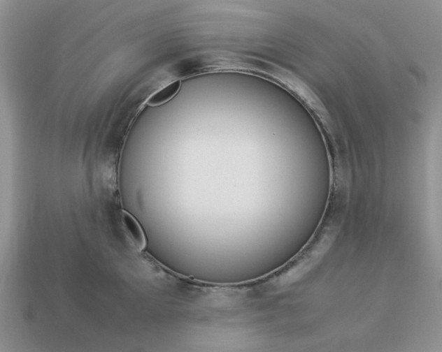 X0000113010905200909101815