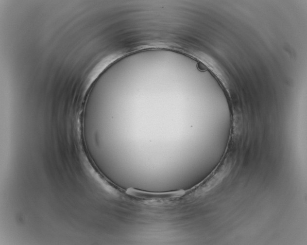 X0000113010906200909101815