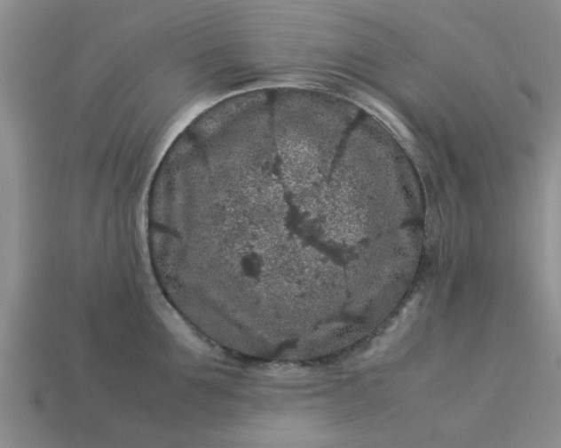 X0000113010907200909101815