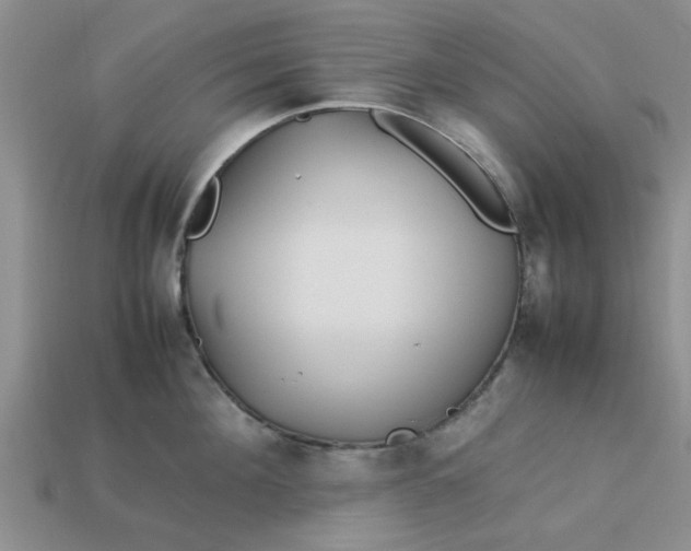 X0000113010908200909101815