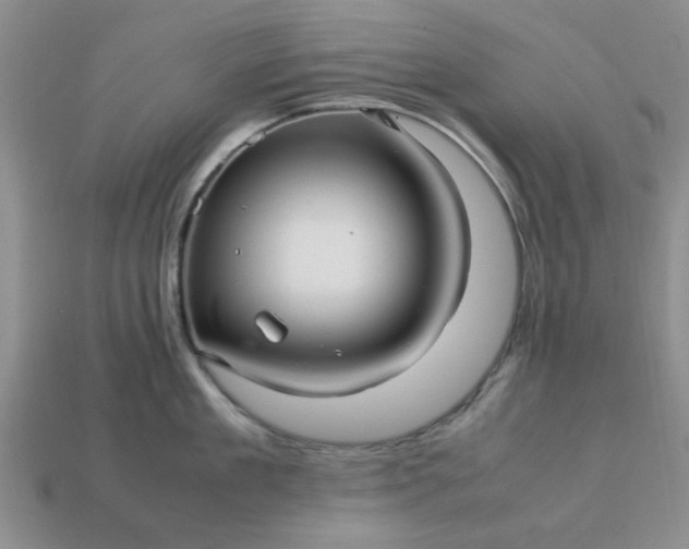 X0000113010909200909101815