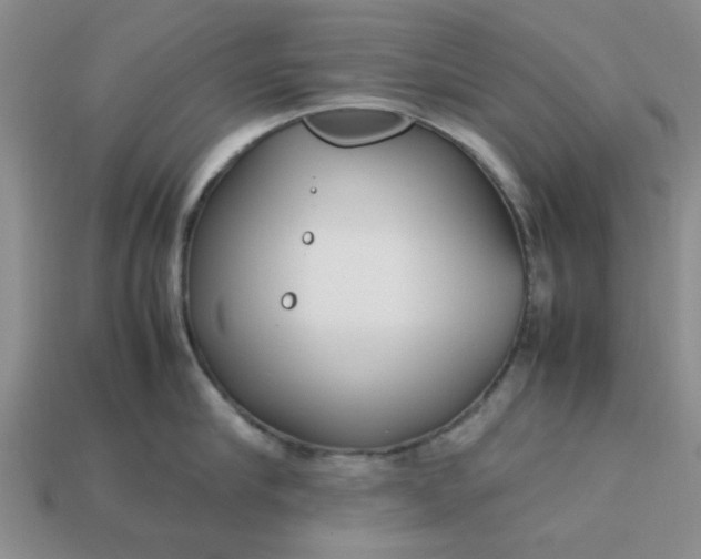 X0000113010910200909101815