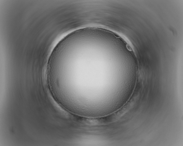 X0000113010911200909101815