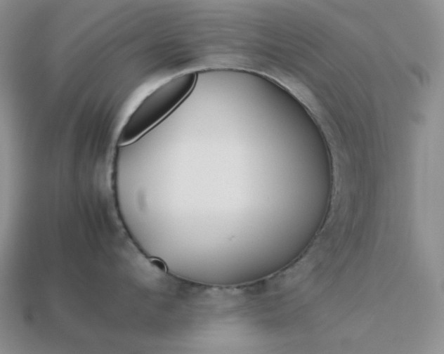 X0000113010912200909101815