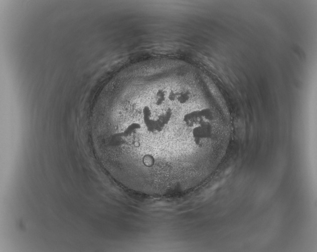 X0000113010913200909101814