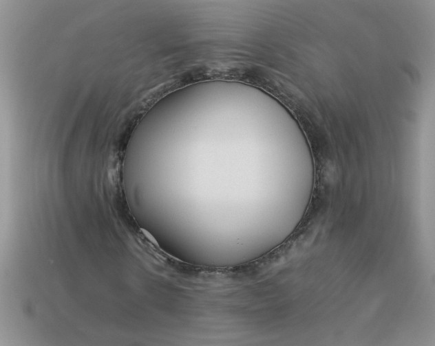 X0000113010914200909101814