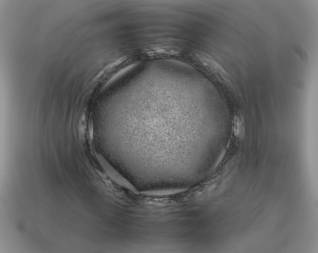 X0000113010915200909101814