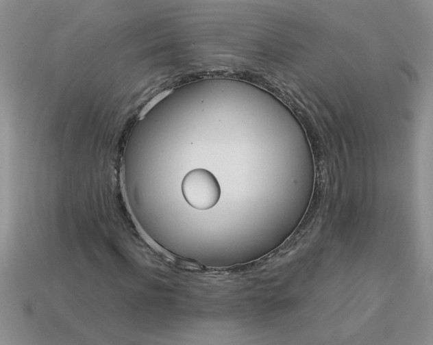 X0000113010916200909101814