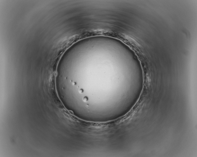 X0000113010917200909101814