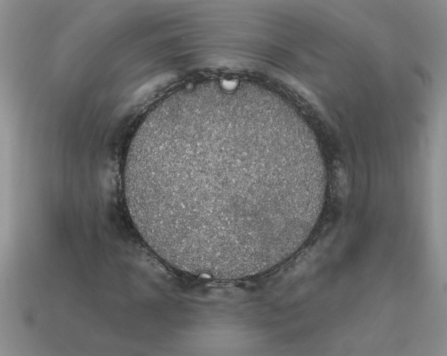 X0000113010918200909101814