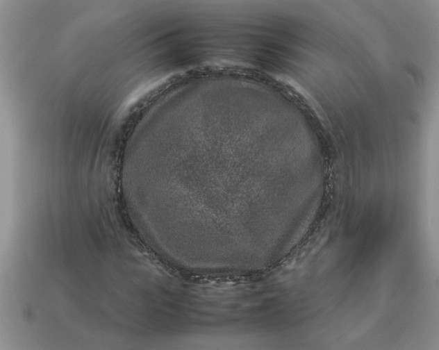 X0000113010919200909101814