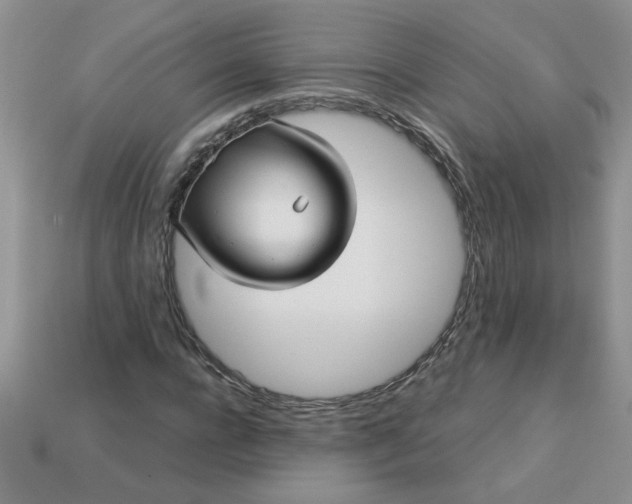 X0000113010920200909101814