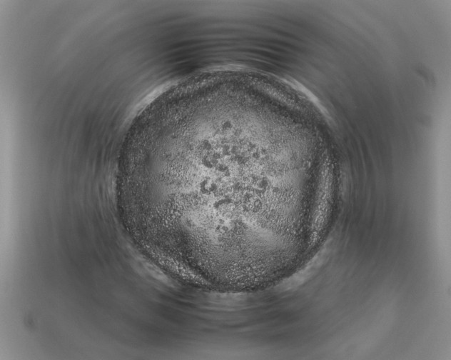 X0000113010921200909101814