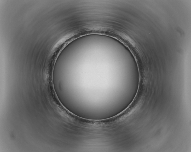 X0000113010922200909101814