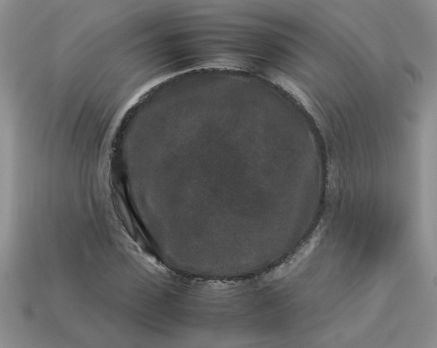 X0000113010923200909101814