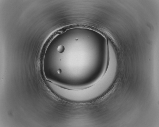 X0000113010924200909101814