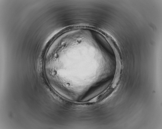 X0000113010925200909101814