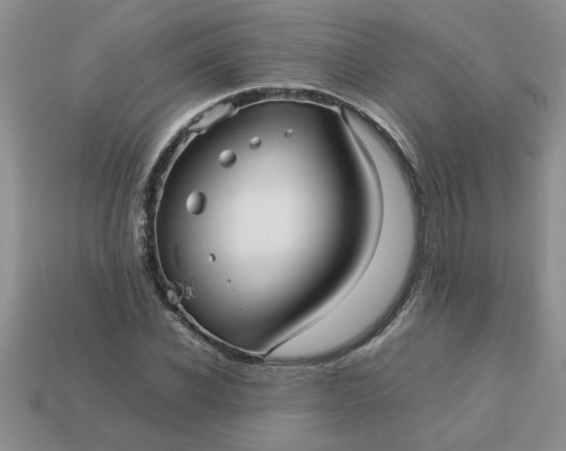 X0000113010926200909101814