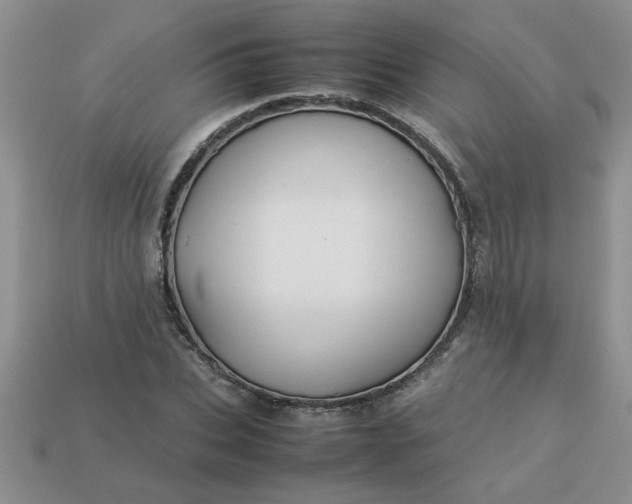 X0000113010927200909101814