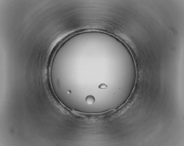 X0000113010928200909101814