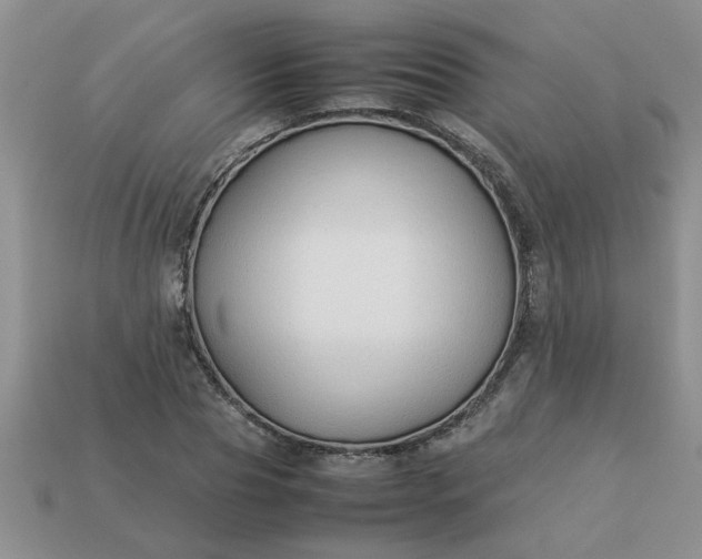 X0000113010929200909101814