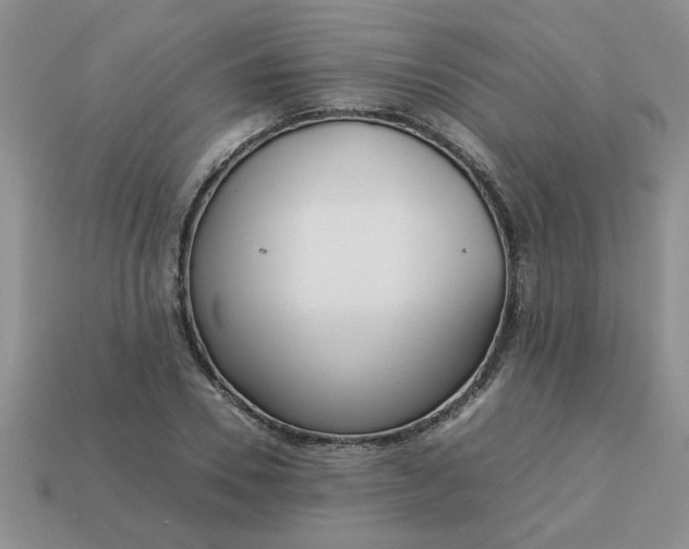 X0000113010930200909101814