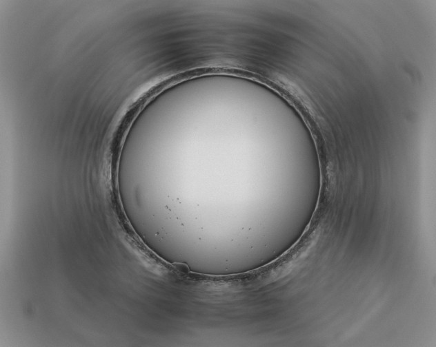 X0000113010931200909101814