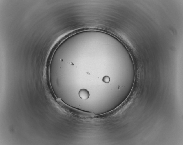 X0000113010932200909101814