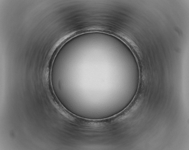 X0000113010933200909101814