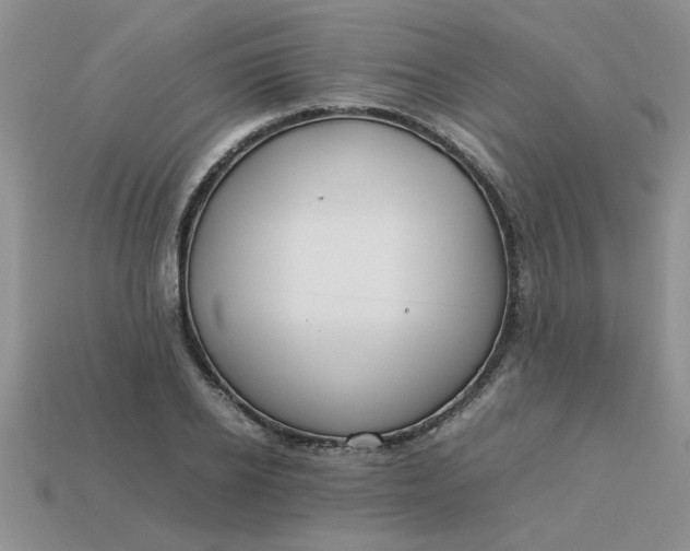 X0000113010934200909101814