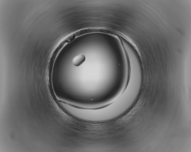 X0000113010935200909101814