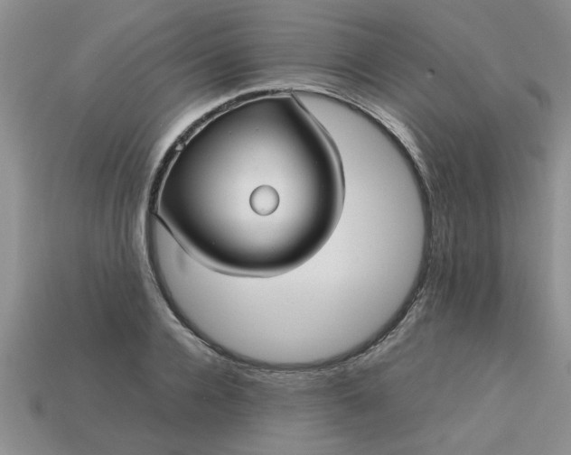 X0000113010936200909101814