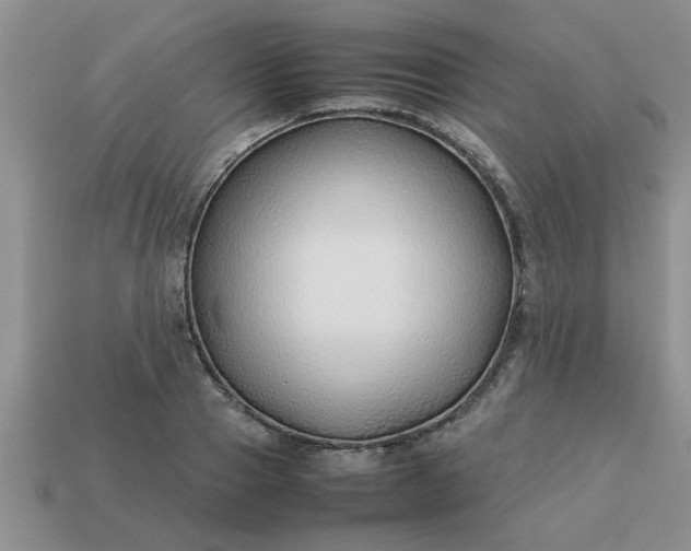 X0000113010937200909101814