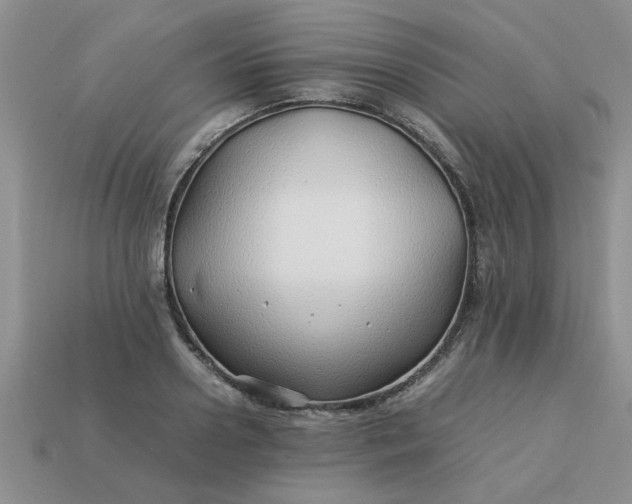 X0000113010938200909101814