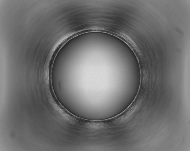 X0000113010939200909101814