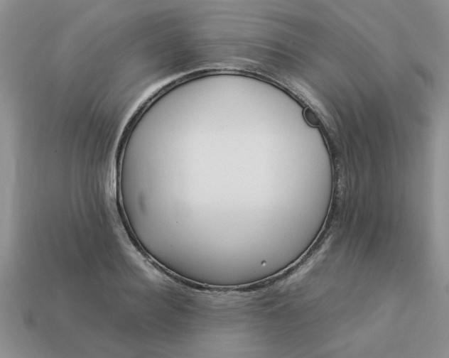 X0000113010940200909101814