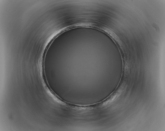 X0000113010941200909101814