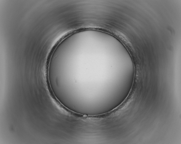 X0000113010942200909101814