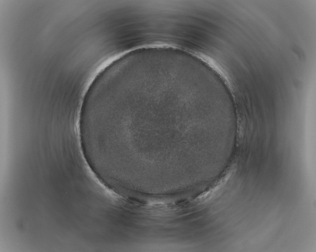 X0000113010943200909101814