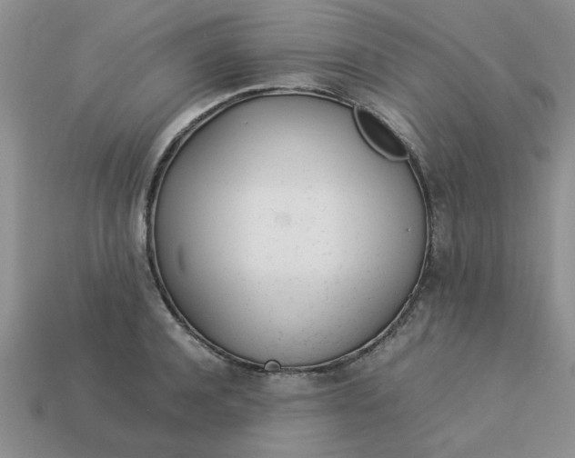 X0000113010944200909101814