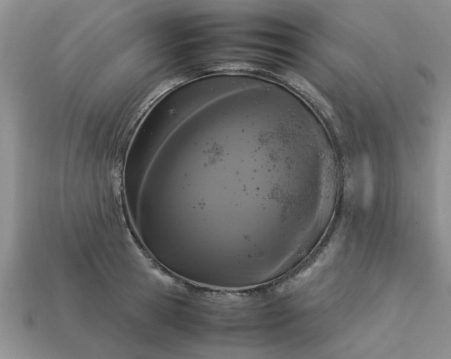 X0000113010945200909101814