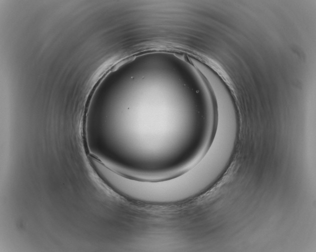 X0000113010946200909101814