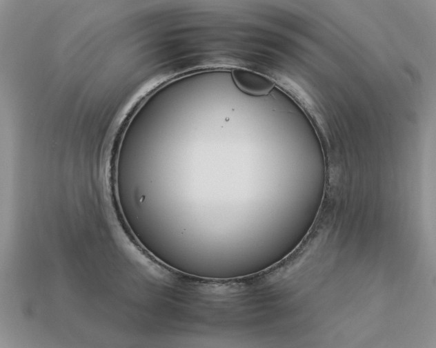 X0000113010947200909101814