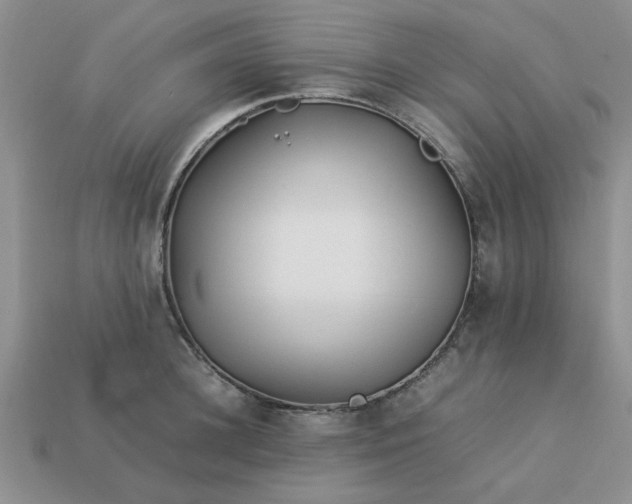 X0000113010948200909101814