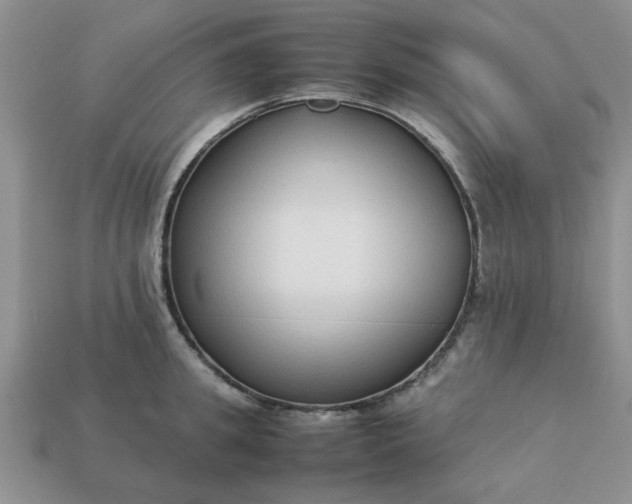 X0000113010949200909101814